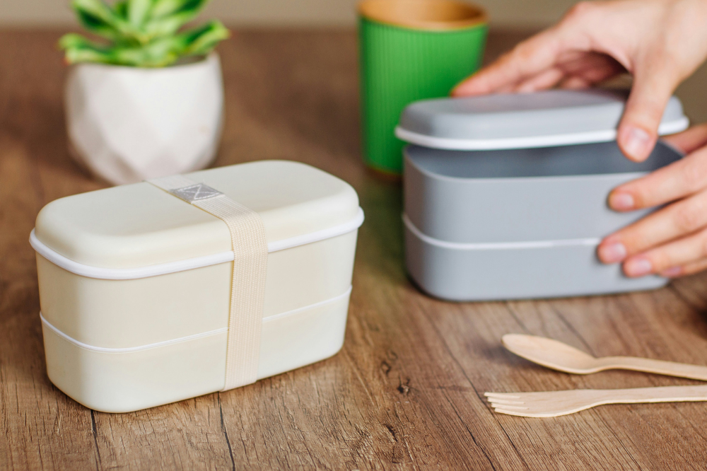 Two Bento Boxes